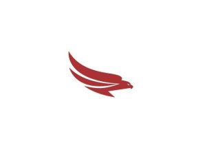 Logo Falconaviation