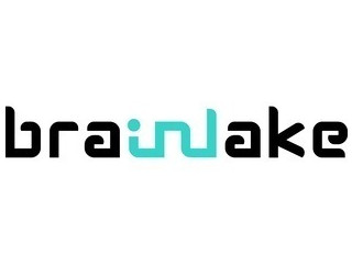 Brainlake Advertising LLC