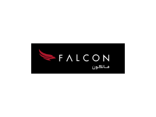 Logo Falcon Aviation