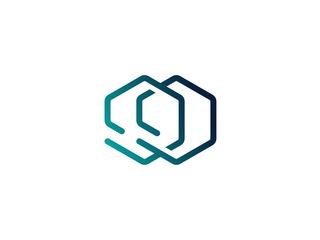 Delivery Manager (Portfolio)