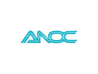 Logo ANOC Management Consultants