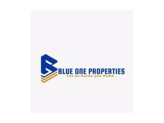 Blue One Properties