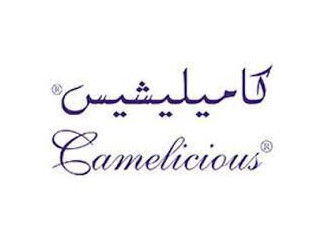 Logo Camelicious Careers